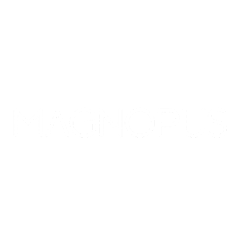 Magnopus